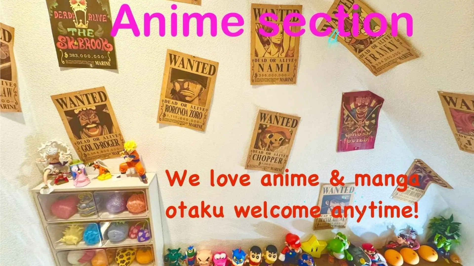 2 Best Location Private Room Close To Jr Station!In Jujo Shopping Street Tokyo Japan